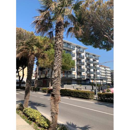Malibu Apartments