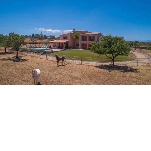 Manacor-289865