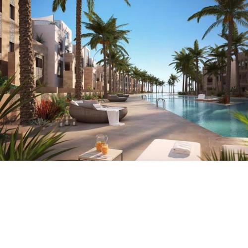Mangroovy gouna