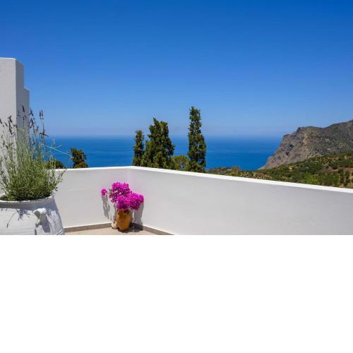 Manolis House