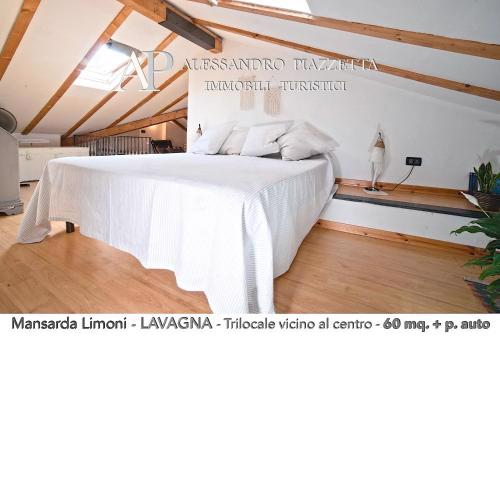 Mansarda Limoni