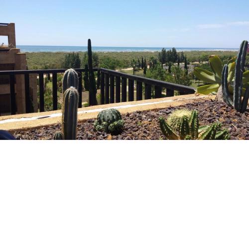 Mar Canela Apartments