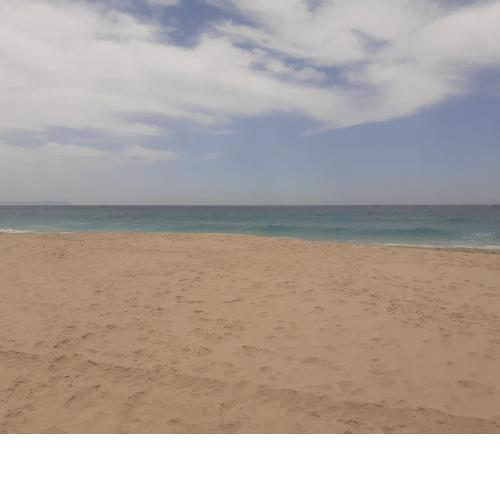 MAR DE PLATA
