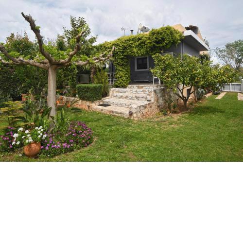 marathon family villa