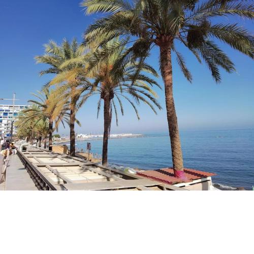 Marbella Center -6 persons - beach at 250 m