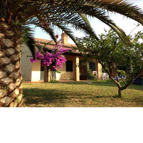 Mare Etrusco Villetta D1