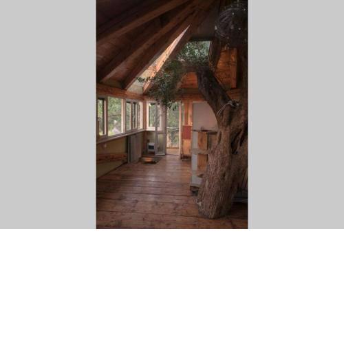 Margaritis's Treehouse
