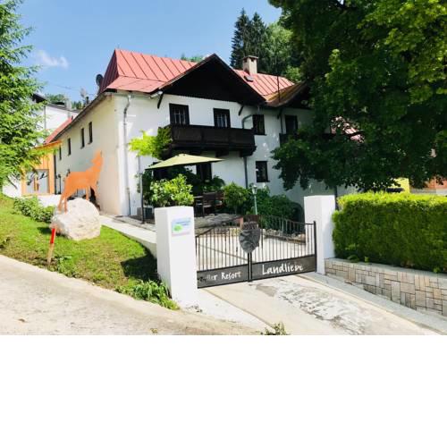 Mariazeller Resort Landliebe