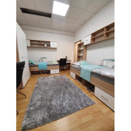 MARIBOR CITY CENTER MINIDORM APARTMENT