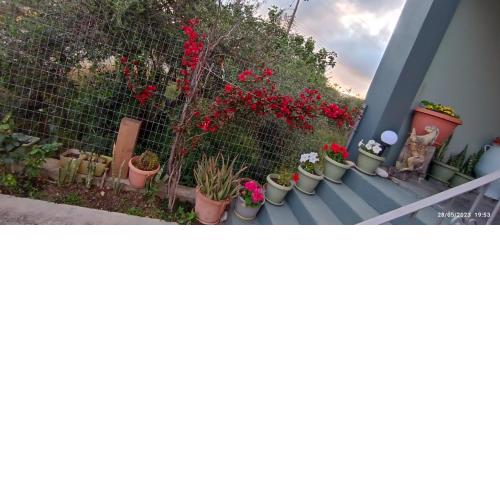 MarilidiaHouse