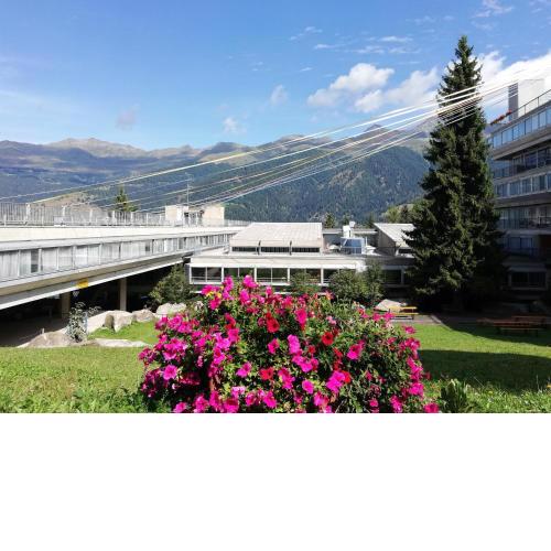 Marilleva 1400 Appartamenti Montana