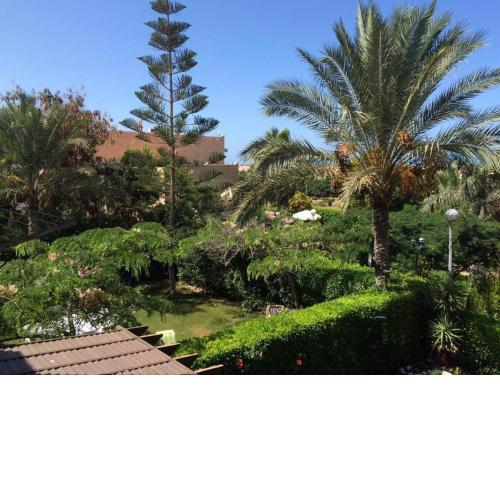 Marina 6 Luxury shaleh
