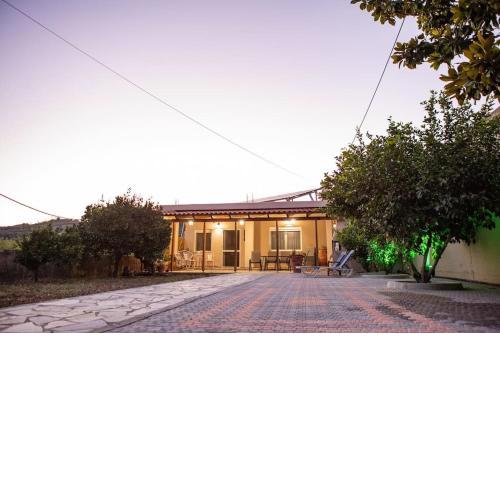 Marios house