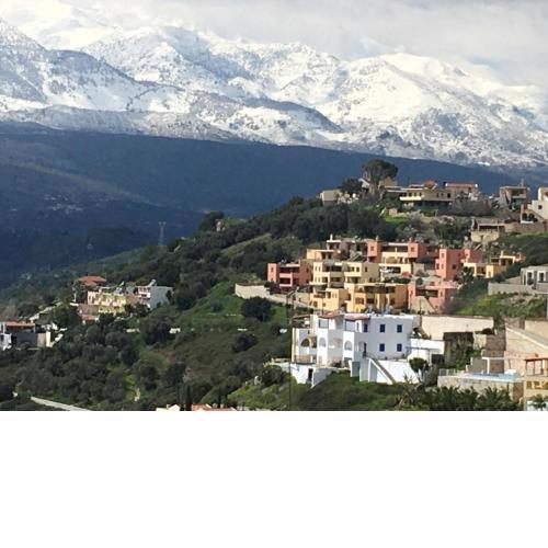 Marjoram - Morfi Village