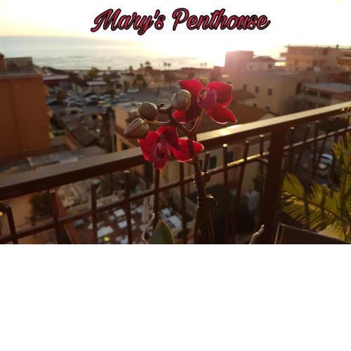 Mary's Penthouse