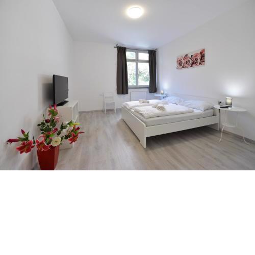 Mary's Rooms & Apartments