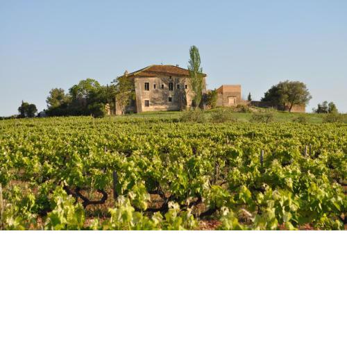 Mas Castell de Gimenelles