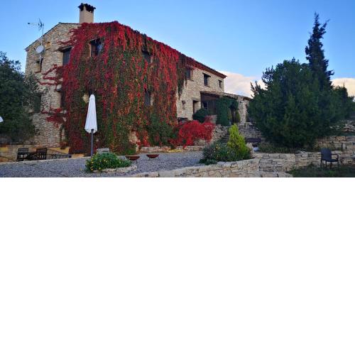 Mas de l'Arlequi