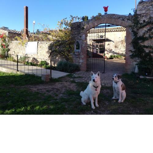 Mas Del Llop Blanc - Dog friendly Hostal Rural - B&B