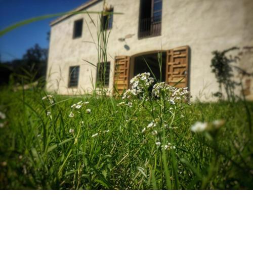 Masia Mediterranian Country House Ca l'Isidre Torrent