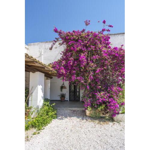 Masseria Bellamarina