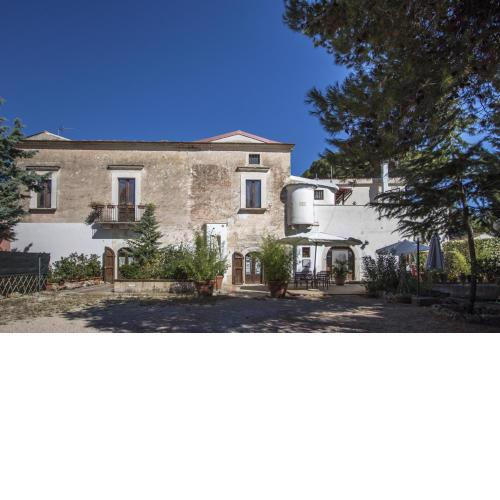 MASSERIA CITULO Il Pino grande