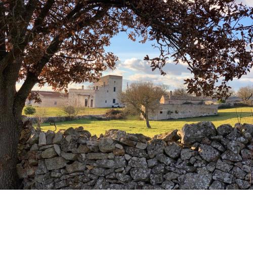 Masseria Contursi - Donna Camilla