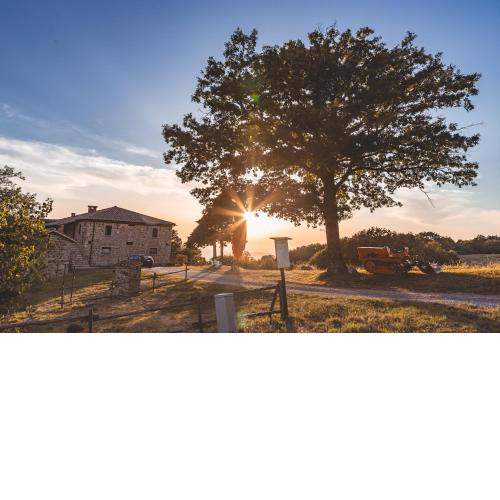 Masseria Del Bosco - Podere Palazzone