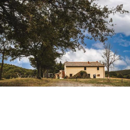 Masseria del Bosco - Podere Poderuccio