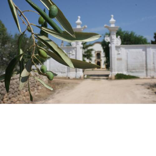 Masseria Maccarone