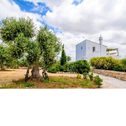 Masseria Montefieno