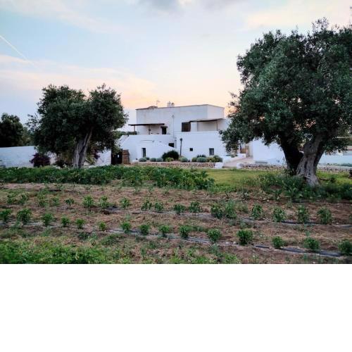 Masseria Piccole Taverne
