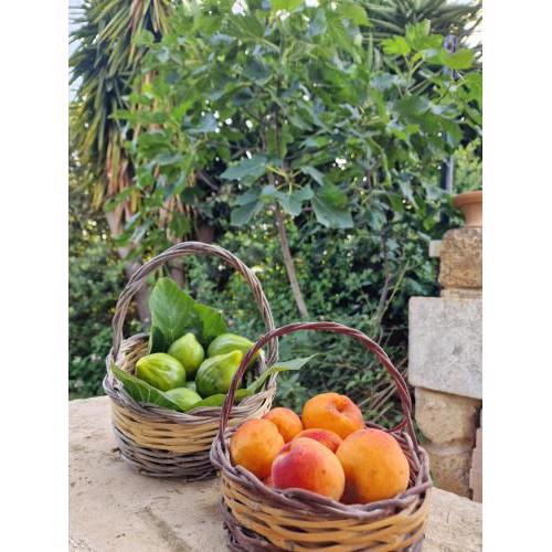Masseria Vivi il Salento