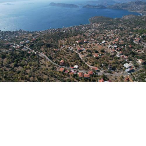 Massi Söğüt 1