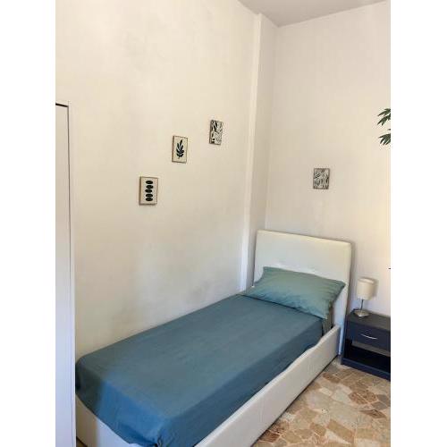 Matt Rooms