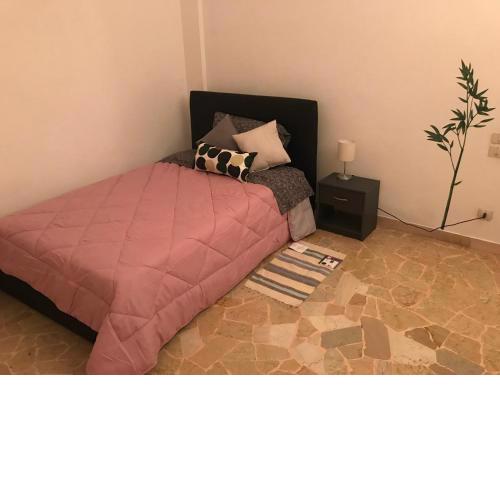 Matt Rooms