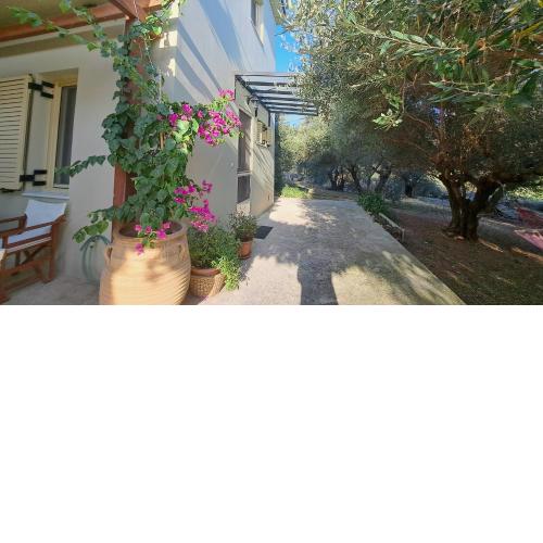 Mavrogenis Farm Chania Crete