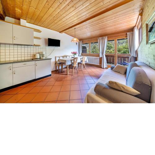 Mayrhof Apartment Ahorn