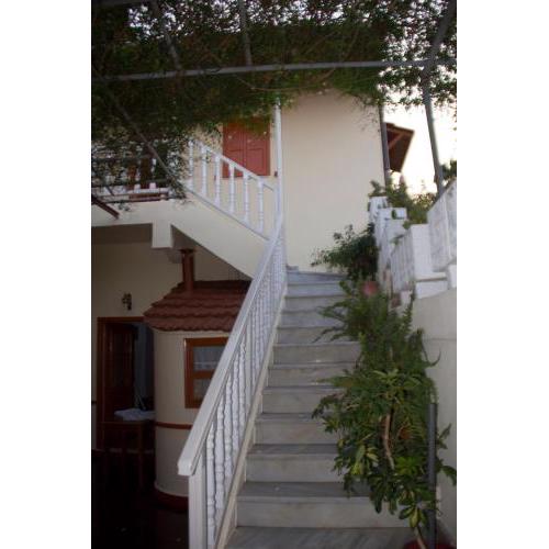 Medieval Rose Guest House
