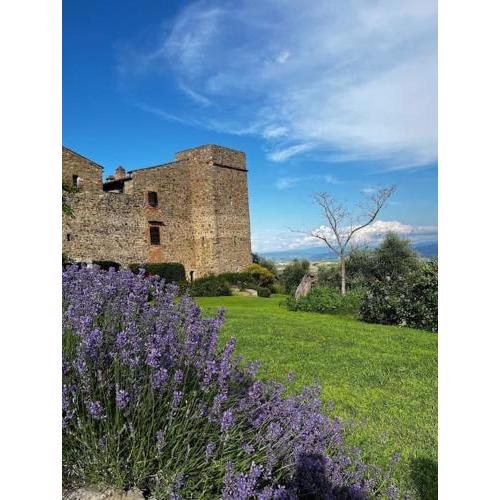 Medieval Tower in Umbria with Swimming Pool