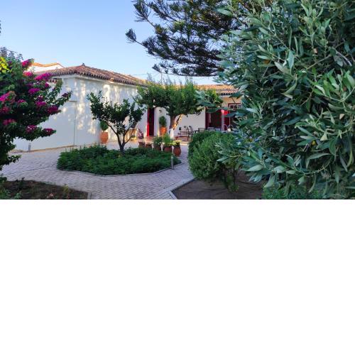 Mediterranean house with beautiful garden
