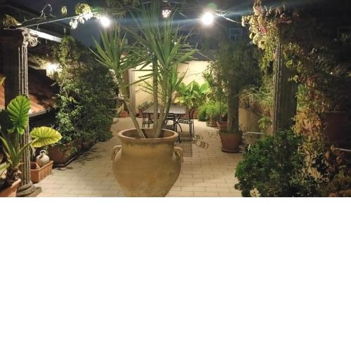 Mediterranean Roof