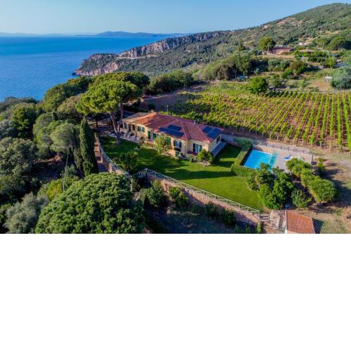 Mediterranean Villa