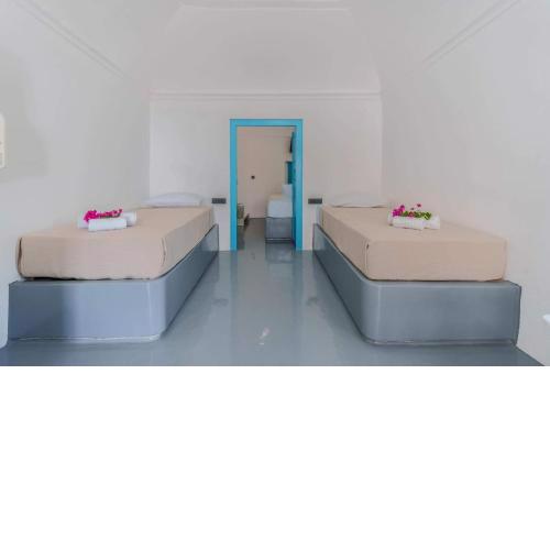 Medusa suites