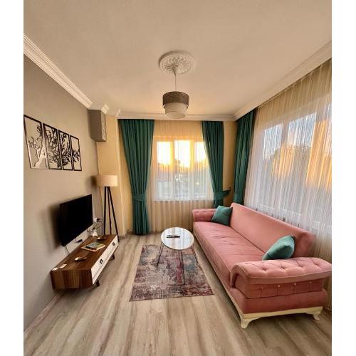 MEK HOMEs 2