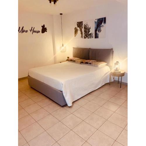 MenoUno House