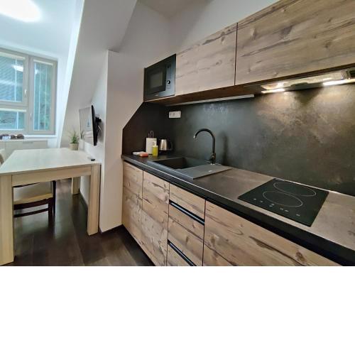 MENŠÍ APARTMÁN RESIDENT HARRACHOV C305 s kuchyní a možností Wellness