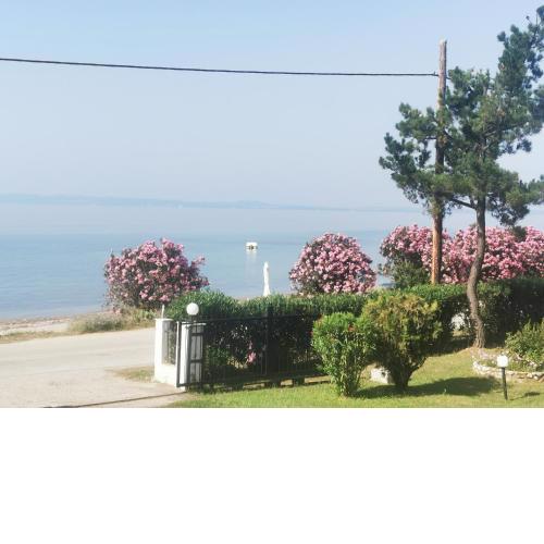 Metamorphosis - Halkidiki Apartment on the beach