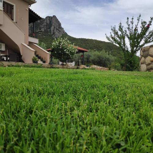 Meteora Olio Hills apartment