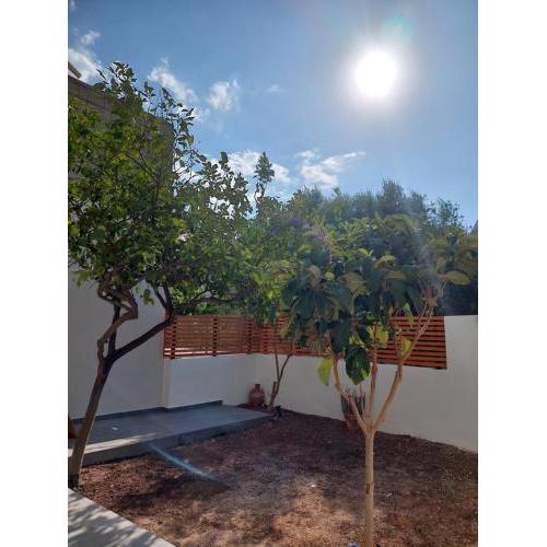 MG elounda apt